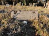 image of grave number 724332
